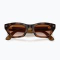 Occhiali con telecamera Ray-Ban Meta Zena havana/gradient brown 6