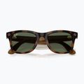 Occhiali con telecamera Ray-Ban Meta Wayfarer havana/g15 green 6