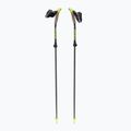 Bastoncini da nordic walking Fizan Carbon Pro Impulse 2023 grigio