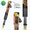 Bastoncini da nordic walking Fizan Speed Race grigio 3