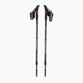 Bastoncini da nordic walking Fizan Speed neri 5