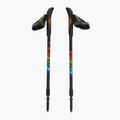 Bastoncini da nordic walking per bambini Fizan Speed JR rainbow 5