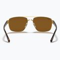 Occhiali da sole Ray-Ban RB3663 arista gold/brown 5