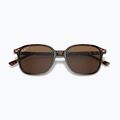 Occhiali da sole Ray-Ban Leonard tortoise/brown polarized 3