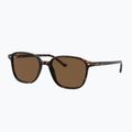 Occhiali da sole Ray-Ban Leonard tortoise/brown polarized 4