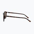 Occhiali da sole Ray-Ban Leonard tortoise/brown polarized 7
