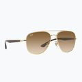 Occhiali da sole Ray-Ban RB3683 arista gold/brown