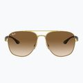 Occhiali da sole Ray-Ban RB3683 arista gold/brown 2