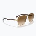 Occhiali da sole Ray-Ban RB3683 arista gold/brown 4