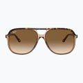 Occhiali da sole Ray-Ban Bill havana brown/transparent brown 2