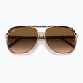 Occhiali da sole Ray-Ban Bill havana brown/transparent brown 3