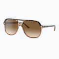 Occhiali da sole Ray-Ban Bill havana brown/transparent brown 4