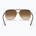 Occhiali da sole Ray-Ban Bill havana brown/transparent brown 5