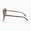 Occhiali da sole Ray-Ban Bill havana brown/transparent brown 7
