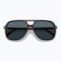 Occhiali da sole Ray-Ban Bill havana/blue 3