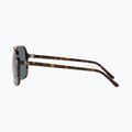Occhiali da sole Ray-Ban Bill havana/blue 7