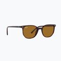 Occhiali da sole Ray-Ban Elliot havana brown/black polarized
