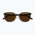 Occhiali da sole Ray-Ban Elliot havana brown/black polarized 3