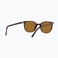 Occhiali da sole Ray-Ban Elliot havana brown/black polarized 6
