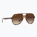 Occhiali da sole Ray-Ban RB4376 havana/brown gradient