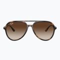 Occhiali da sole Ray-Ban RB4376 havana/brown gradient 2