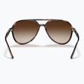 Occhiali da sole Ray-Ban RB4376 havana/brown gradient 5