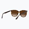 Occhiali da sole Ray-Ban RB4378 havana/brown gradient