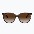 Occhiali da sole Ray-Ban RB4378 havana/brown gradient 2