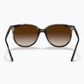 Occhiali da sole Ray-Ban RB4378 havana/brown gradient 3