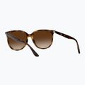 Occhiali da sole Ray-Ban RB4378 havana/brown gradient 4