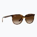 Occhiali da sole Ray-Ban RB4378 havana/brown gradient 5