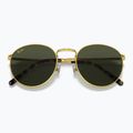 Occhiali da sole Ray-Ban New Round gold/green 3