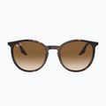 Occhiali da sole Ray-Ban RB2204 havana/light brown 2