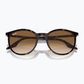 Occhiali da sole Ray-Ban RB2204 havana/light brown 3