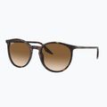 Occhiali da sole Ray-Ban RB2204 havana/light brown 4