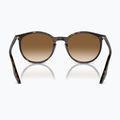 Occhiali da sole Ray-Ban RB2204 havana/light brown 5