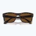 Occhiali da sole Ray-Ban RB4428 havana matte/brown polarized 3