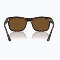 Occhiali da sole Ray-Ban RB4428 havana matte/brown polarized 5
