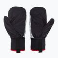 Level Guanti da sci Alper Light nero 5