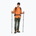 Pantaloni trekking Montura Mountain Trek uomo verde salvia 2