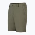 Pantaloni trekking da uomo Montura Valbruna Zip Off verde salvia 3