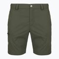 Pantaloni trekking da uomo Montura Valbruna Zip Off verde salvia 5