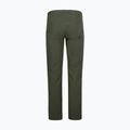 Pantaloni da trekking da uomo Montura Dolomiti Cargo verde salvia 2