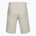 Pantaloncini da uomo Aeronautica Militare BF0032UF00674 ghiaccio bermuda shorts 2