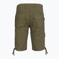 Pantaloncini da uomo Aeronautica Militare BE0041UCT01122 green 2