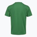 Maglietta da uomo Aeronautica Militare TS1580UJ00372 verdant green 2