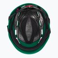 Casco da arrampicata per bambini Climbing Technology Eclipse verde/rosa 5