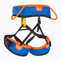 Imbracatura da arrampicata per bambini Climbing Technology Dyno greeb/grigio