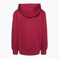 Felpa Champion Legacy da bambino bordeaux 2