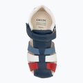 Geox Macchia avio/bianco sandali per bambini 5